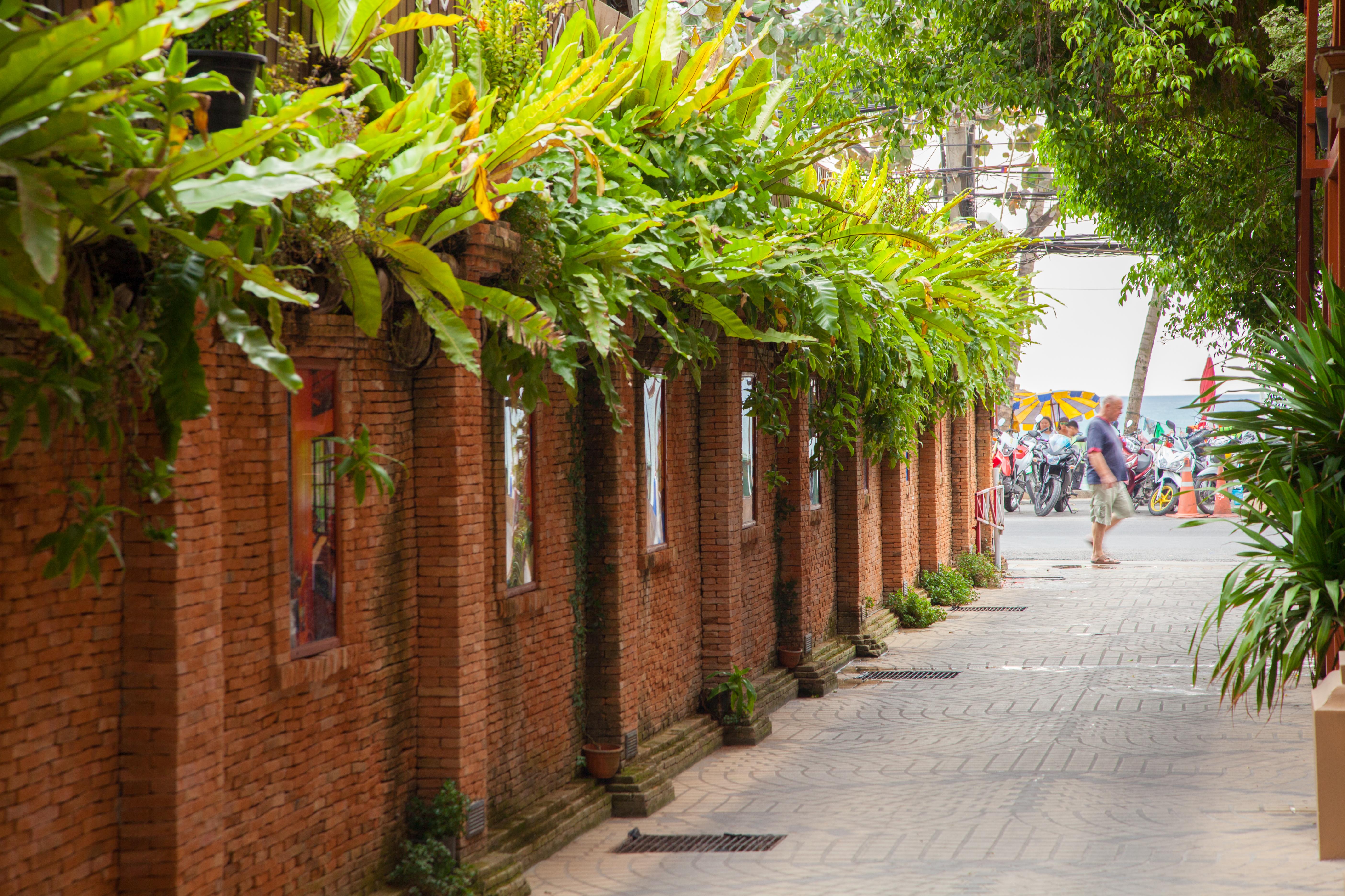 Tropica Bungalow Beach Hotel Patong Exterior photo